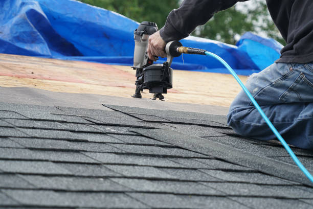 Best Roof Gutter Cleaning  in Manchester, KY